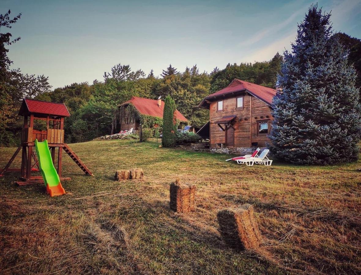 Woodenhouse With Two Apartments Otočac المظهر الخارجي الصورة